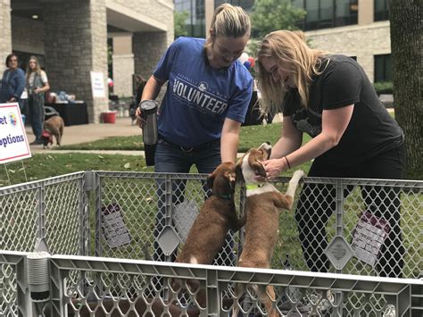 nashville humane society